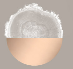 apfel